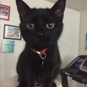 Meet your Posher, Mi